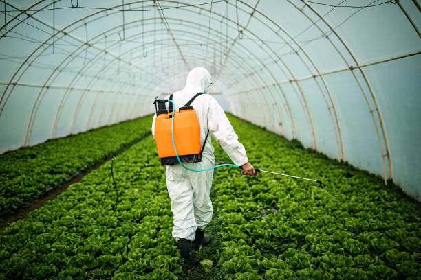 Best Pest Removal Services  in Iva, SC